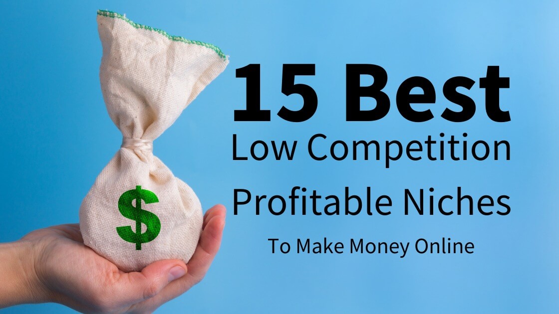 Best Low Competition Profitable Niches
